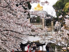 -苏州上方山国家森林公园
