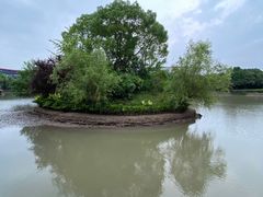 -金桥现代产业园区-停车场