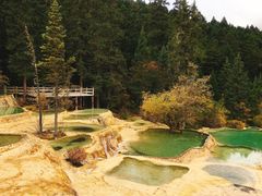 -黄龙山原始森林景区