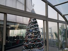 -Hi City·城市之巅