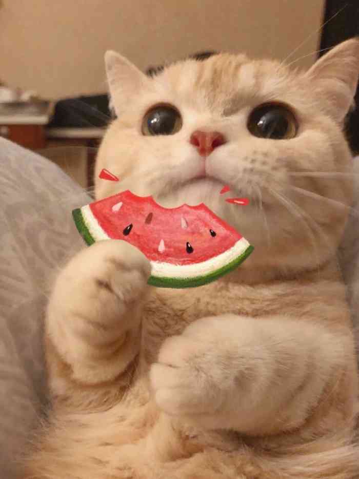 全国连锁·小毛驴吉他(沙坪坝店)