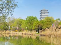 -Supine Bistro溯泮餐厅