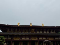 -庐山风景名胜区-东林大佛