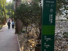-紫金山天文台