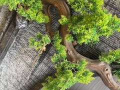 -澜庭SPA养生(康桥铂中环店)