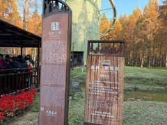 -黄海国家森林公园