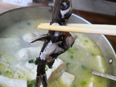 -鱼乐岛餐厅·户外花园主题餐厅