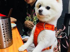 -东三里屯豌杂面