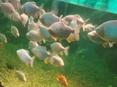 -常州海昌海洋探索馆
