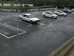 -安飞驰驾校·学车连锁(金高店)