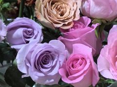 -循礼门鲜花花市(武汉循礼门店)