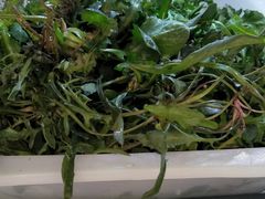 野菜-水库活鱼馆(于桥水库店)