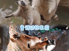 -长鹿旅游休博园