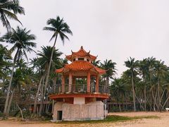 -东郊椰林