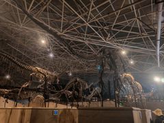 -世界恐龙谷景区