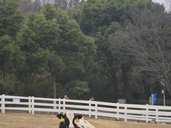 -白马涧龙池景区