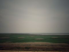 -鄱阳湖国家湿地公园