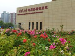 -北京市垂杨柳医院