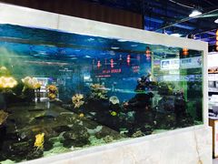 -渔民新村(番禺总店)