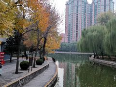 -团结湖公园