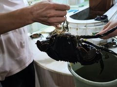 -海盗餐厅