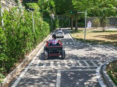 -西部长青自然儿童乐园