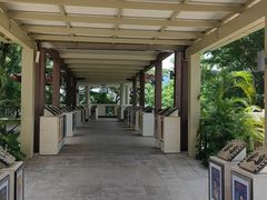 -桃源春晓中餐厅 TaoYuan Restaurant