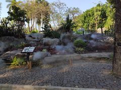 -东莞植物园