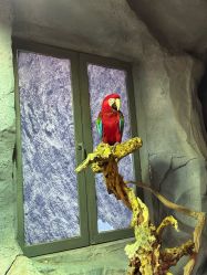 -Zoolung Zoolung动物主题公园(海信广场店)