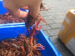 -谭大厨龙虾馆(中交公园时光美食街店)