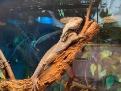 -Zoolung Zoolung动物主题公园(海信广场店)