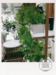 -尚艺造型.剪烫染.接发