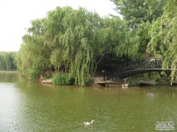 3&nbsp;(79)_副本-金庭庄园酒店彩虹厅