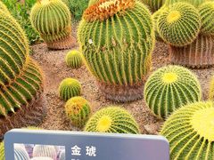 -北京植物园-展览温室