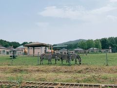 -哈尔滨北方森林动物园