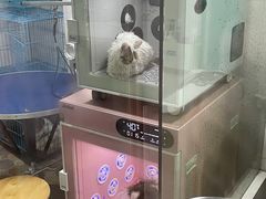 -乐琪宠物医院·犬猫专科·骨外科·急重症