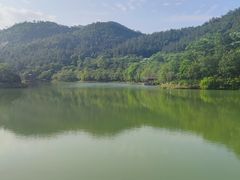 -广州白江湖森林公园