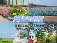 -老鼎万春卤菜(五代传承创始老店)