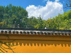 -西园戒幢律寺