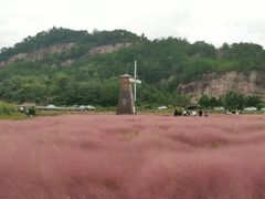 -蛇蟠岛