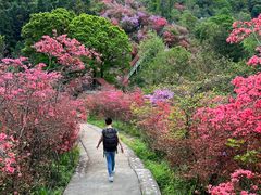 -岳西天峡风景区