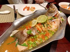 柠檬汁蒸鲈鱼-食肆&Fourteen(武林夜市店)