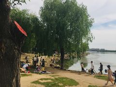 -丁香湖公园