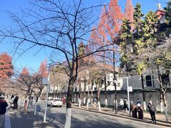 -鸡鸣赐茶(鸡鸣寺路店)