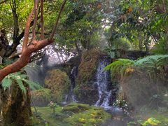 -Chom Cafe and Restaurant