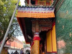 -塔尔寺-菩提树
