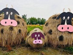 -中国天府农业博览园