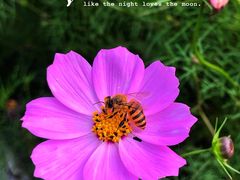 -洋湖国家湿地公园