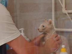 -沐沐家宠物(成寿寺店)