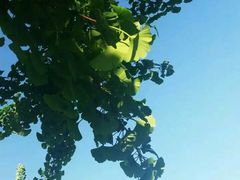 -成都中医药大学(温江校区)